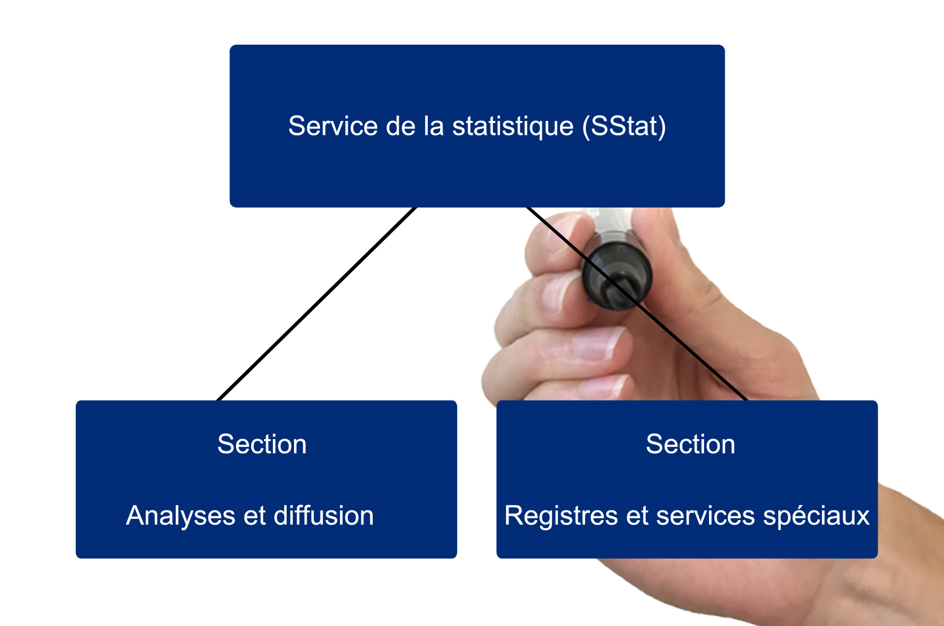 Organigramme du service de la statistique (SStat)