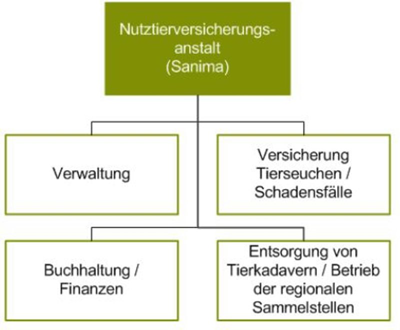 Organigramm Sanima
