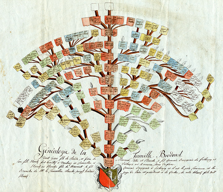 Stammbaum der Familie Brodard, um 1800