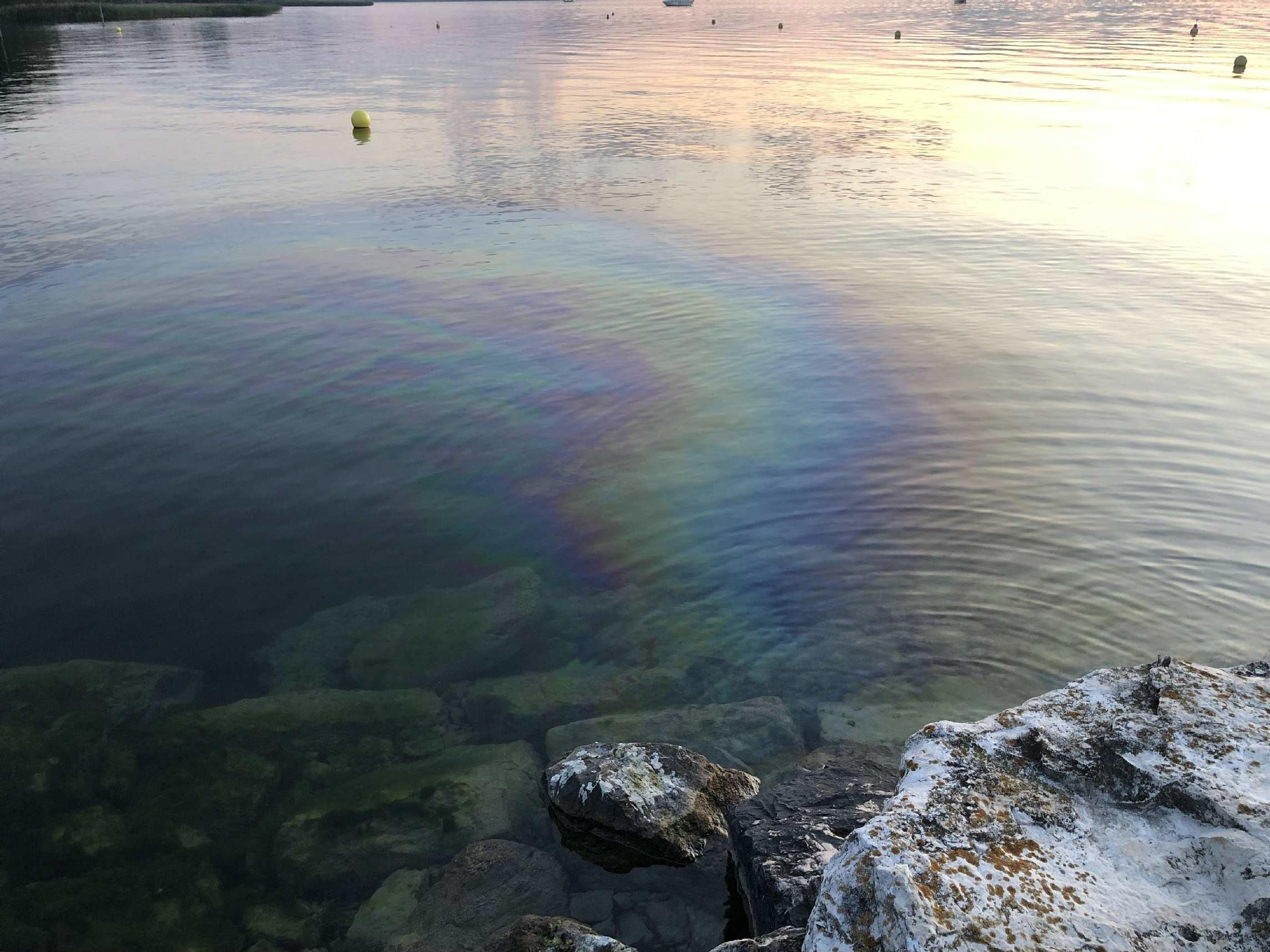 Pollution dans le lac de Neuchâtel à Cheyres