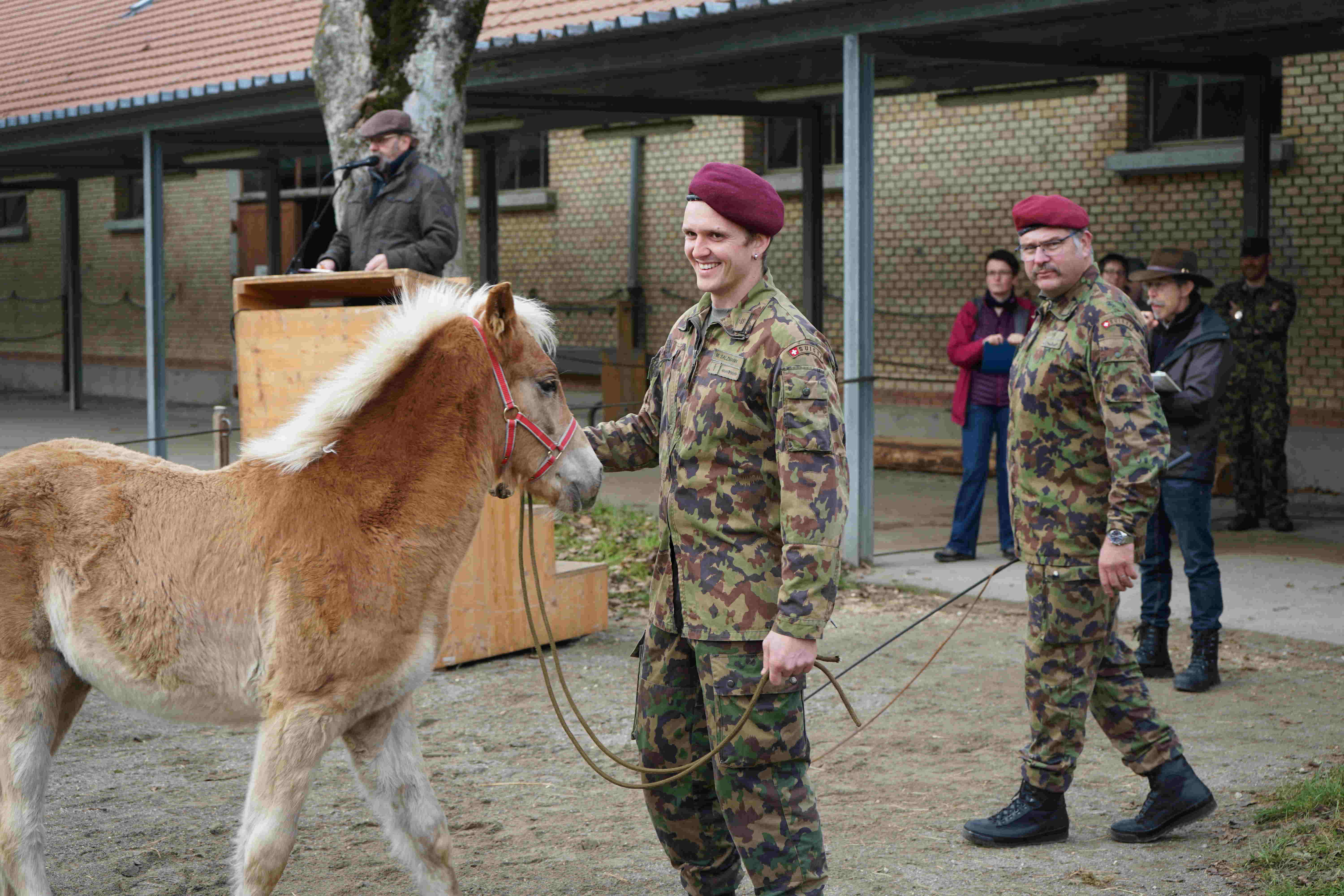 Cheval de race haflinger tenu par un soldat de l'armée suisse