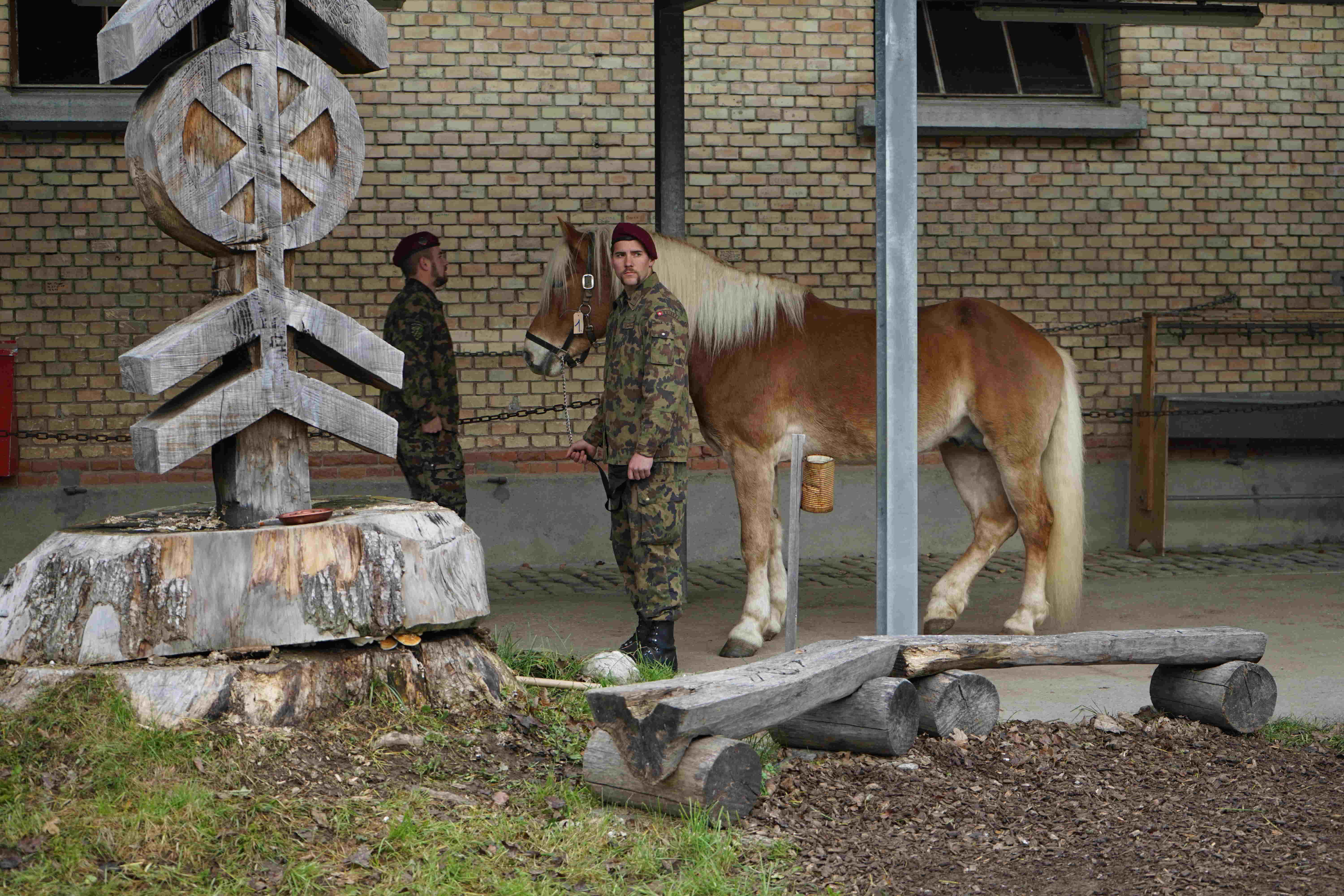 Cheval de race haflinger tenu par un soldat de l'armée suisse