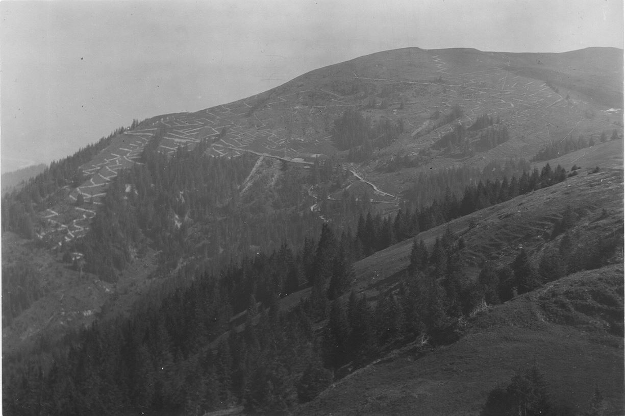 Der Schmutzes Schwyberg 1925 hat viele offene Weiden.