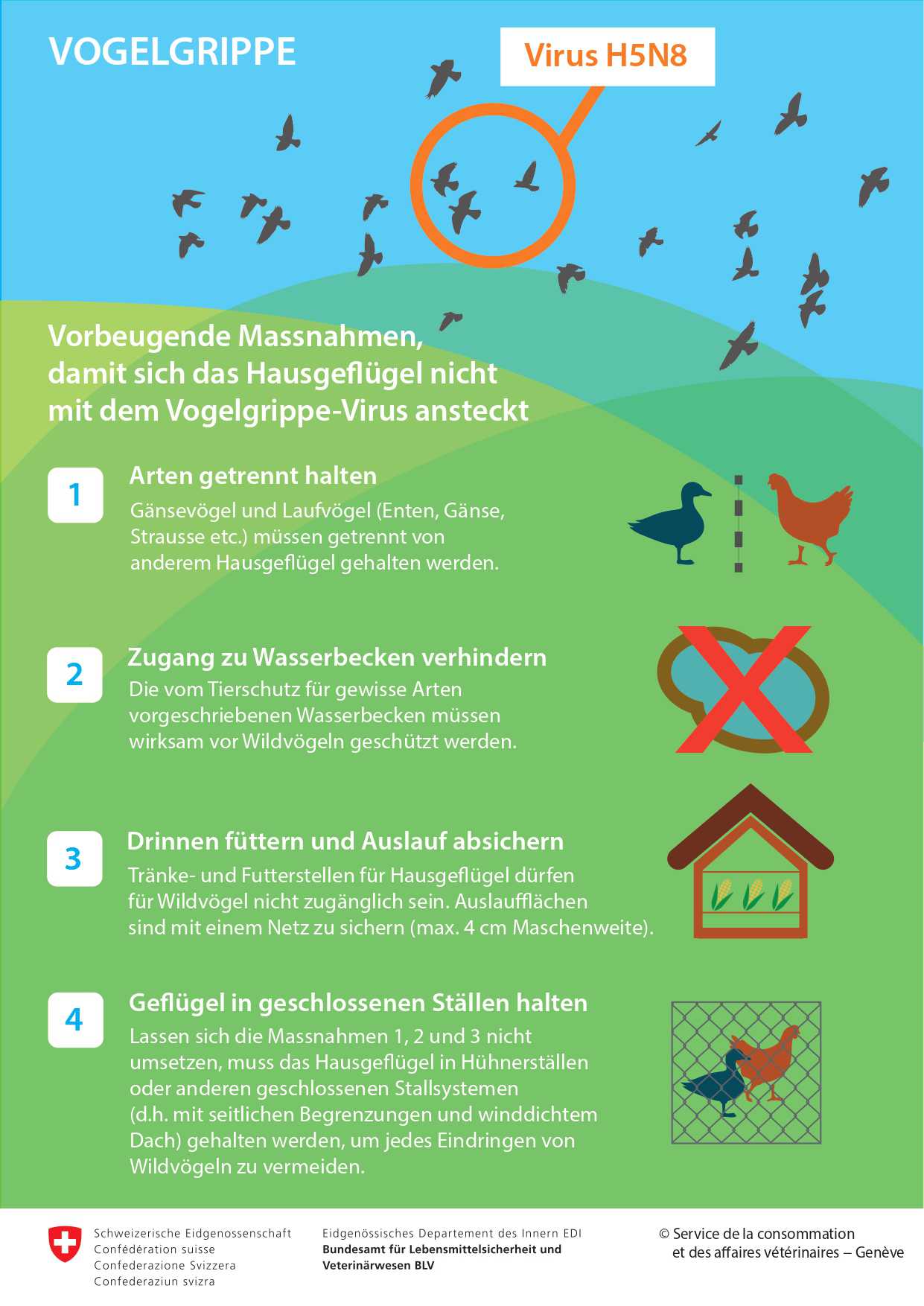 Infografik Vogelgrippe