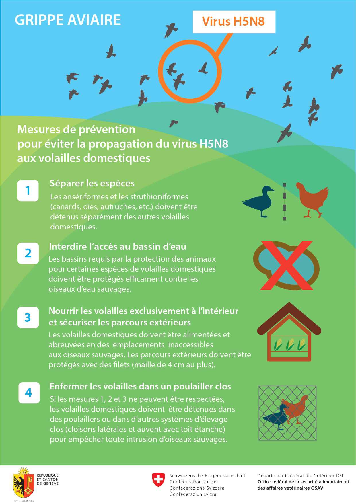 Infographie grippe aviaire