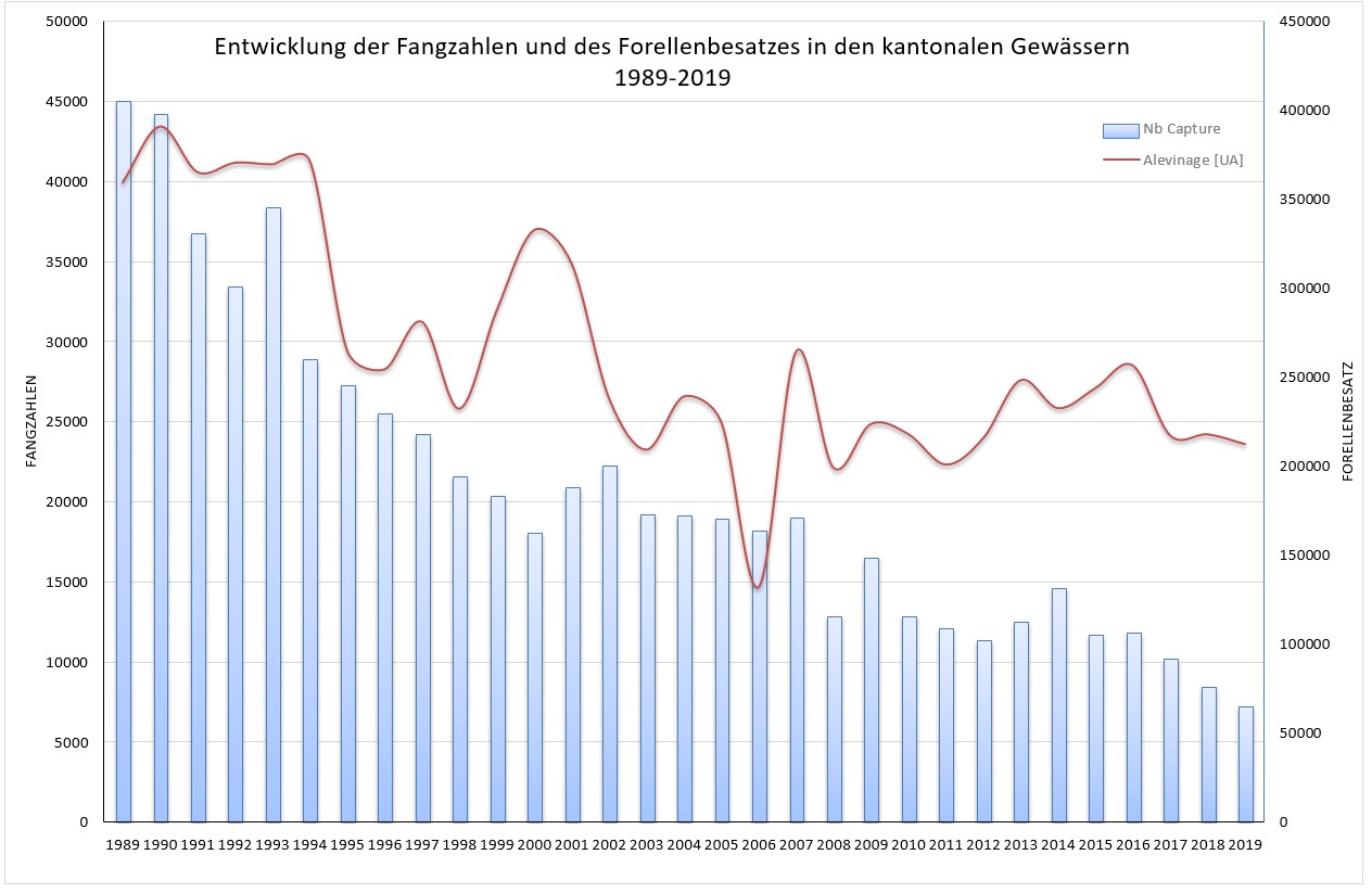 Zusammenhang zwischen Besatz und Forellenfängen von 1989 bis 2019