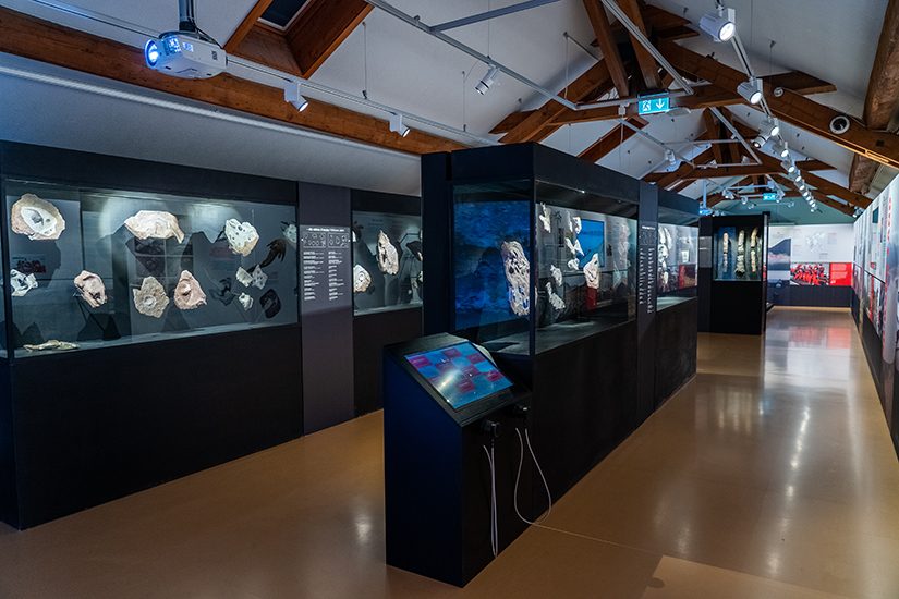 Expedition Spitzbergen - Blick in den Ausstellungssaal