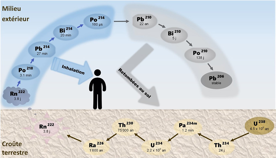 Chaîne de désintégration de l’uranium 238 avec la demi-vie de chaque isotope. La demi-vie correspond au temps durant lequel la moitié des atomes présents se désintègrent.