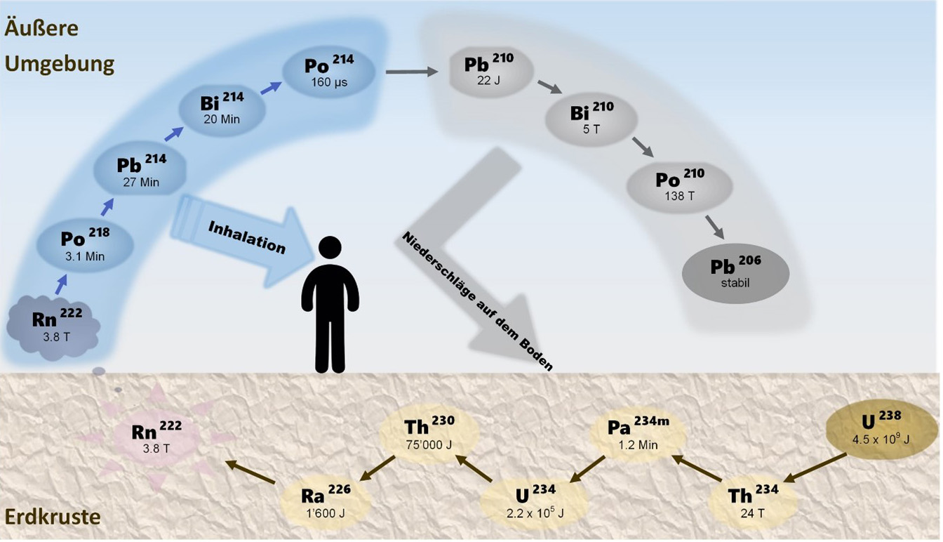 Uran-238-Zerfallsreihe mit der Halbwertszeit jedes Isotops. Die Halbwertszeit bezeichnet die Zeitspanne, innerhalb deren die Hälfte der Atome zerfällt.