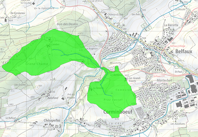 Bassins versants des ruisseaux de Chenaleyres et du bois de la Rémasse à Belfaux