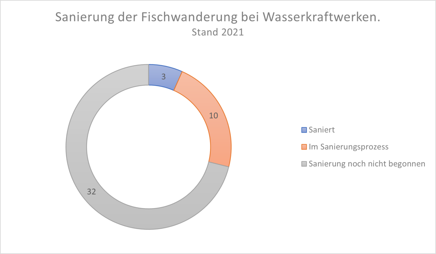 Sanierung der Fischwanderung bei Wasserkraftwerken