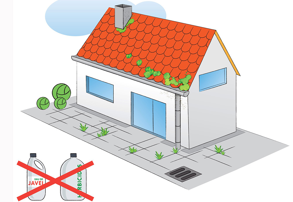 Nettoyage des toitures : interdiction des herbicides et des produits biocides