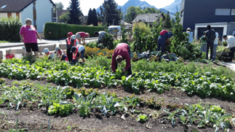 « Couleur Jardin » jardin participatif - Communes durables