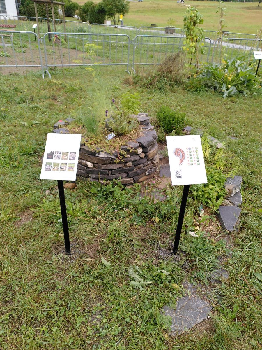 Foto des Biodiversitätspfad, Kräuterspirale