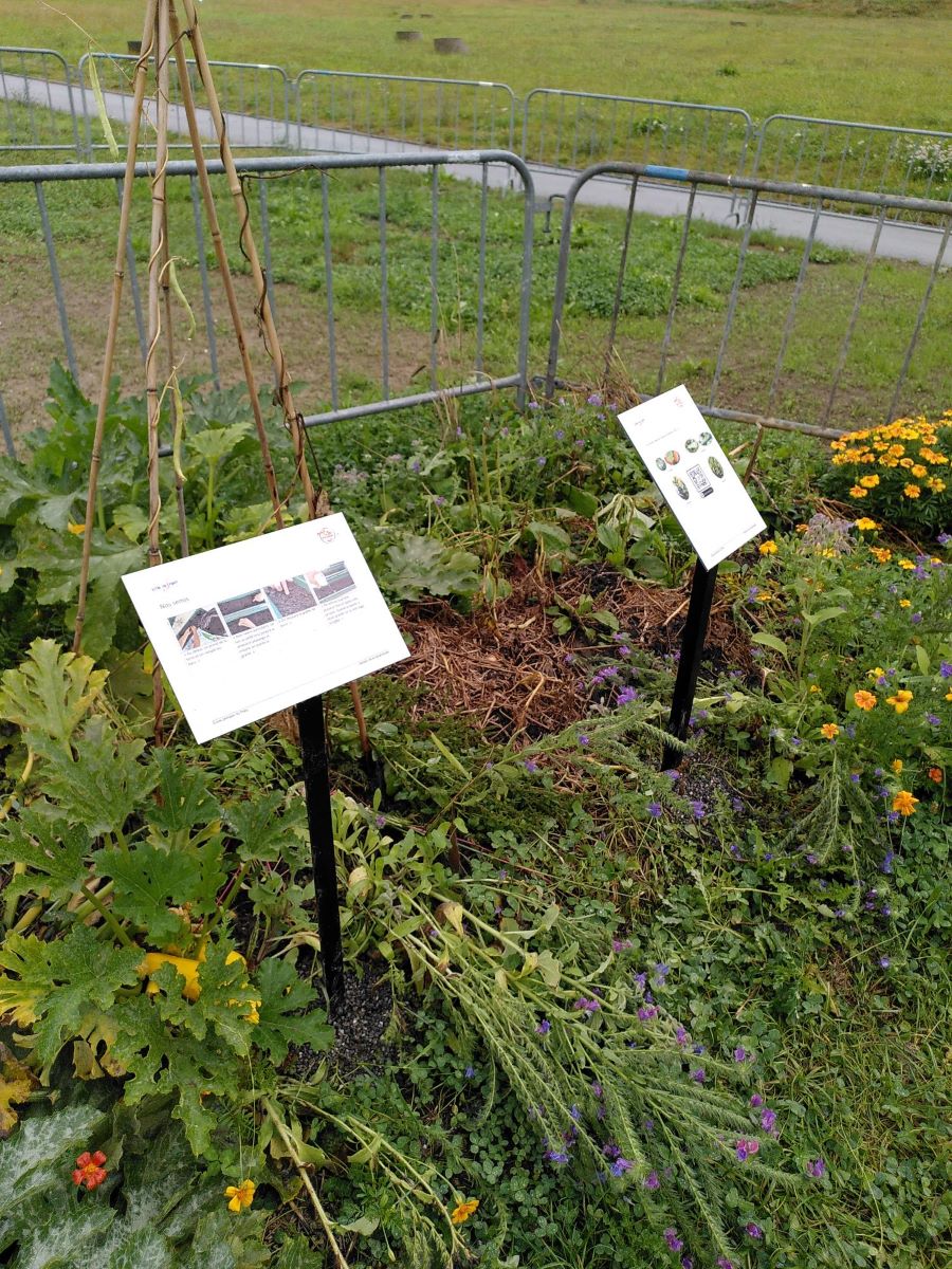 Photo du sentier de la biodiversité, butte de permaculture