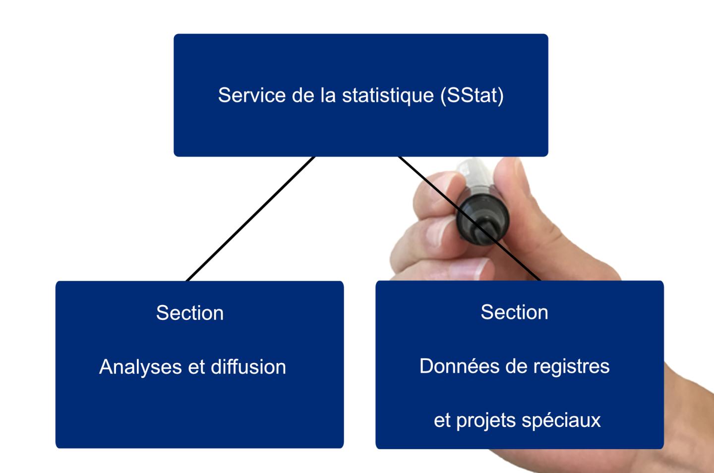 Organigramme du Service de la statistique de Fribourg (SStat)