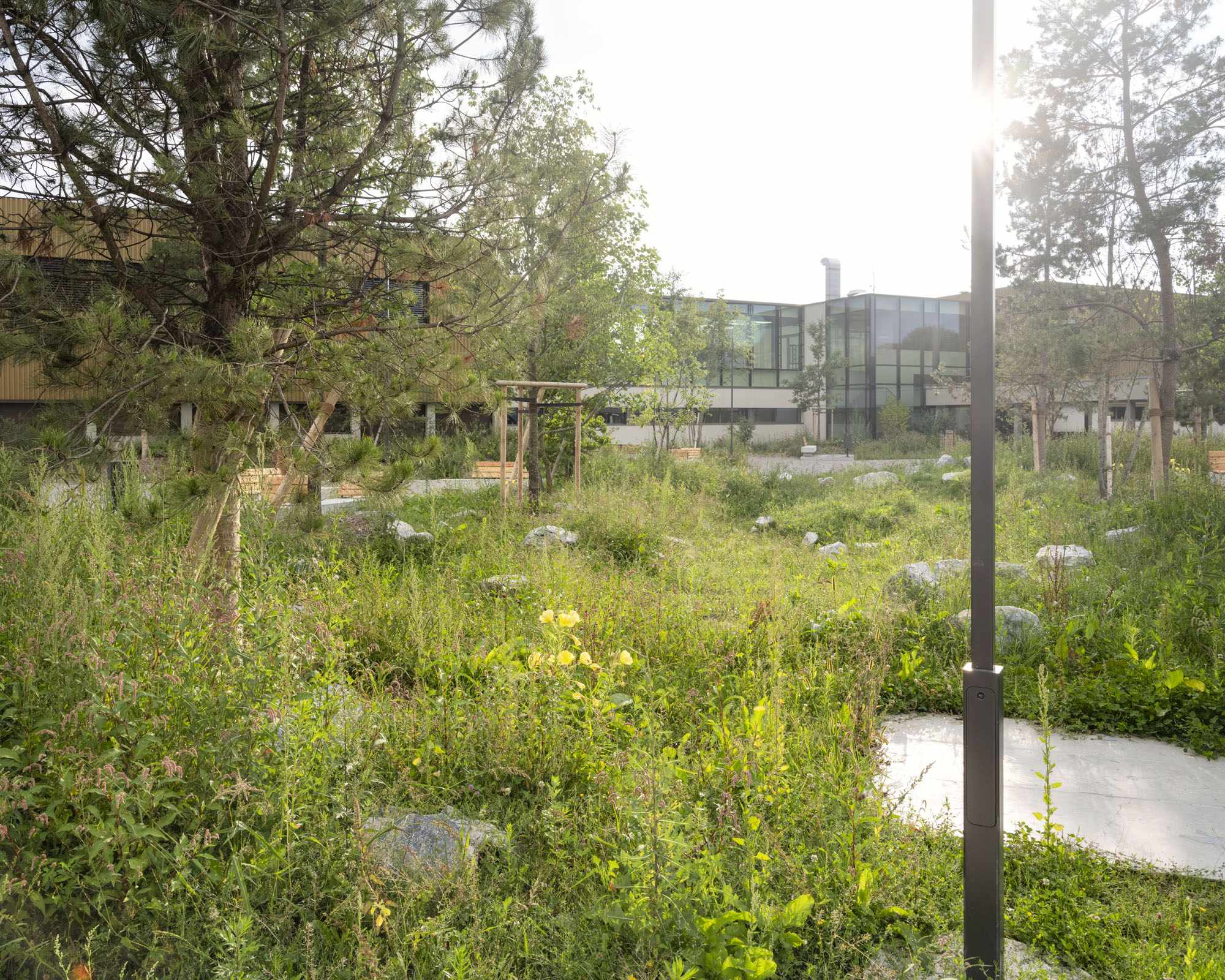 Cour Bulle Biodiversité