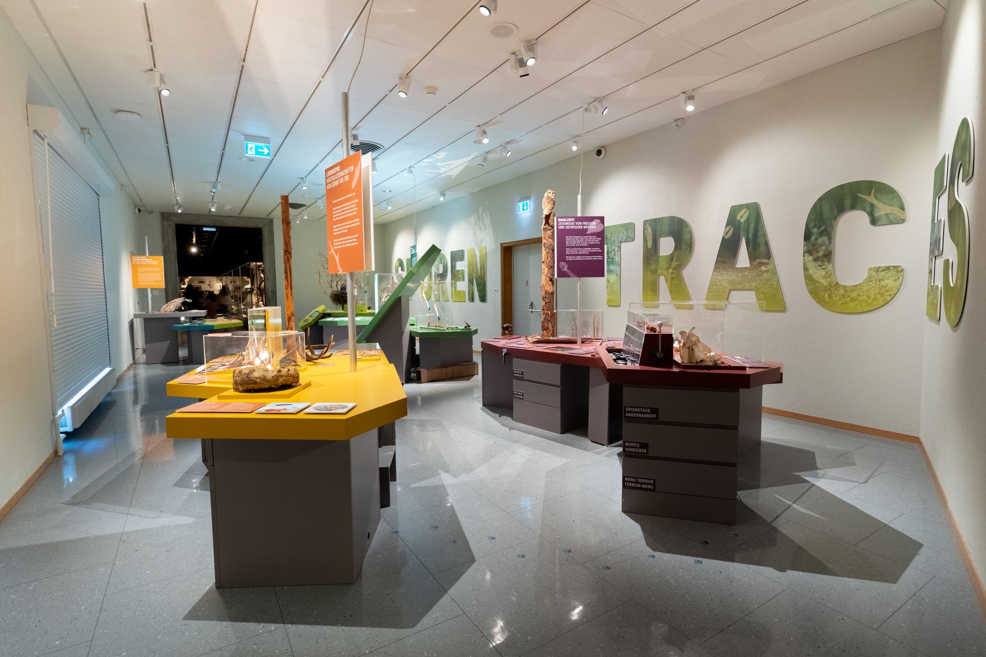 Spuren - Fährten, Frass und Federn