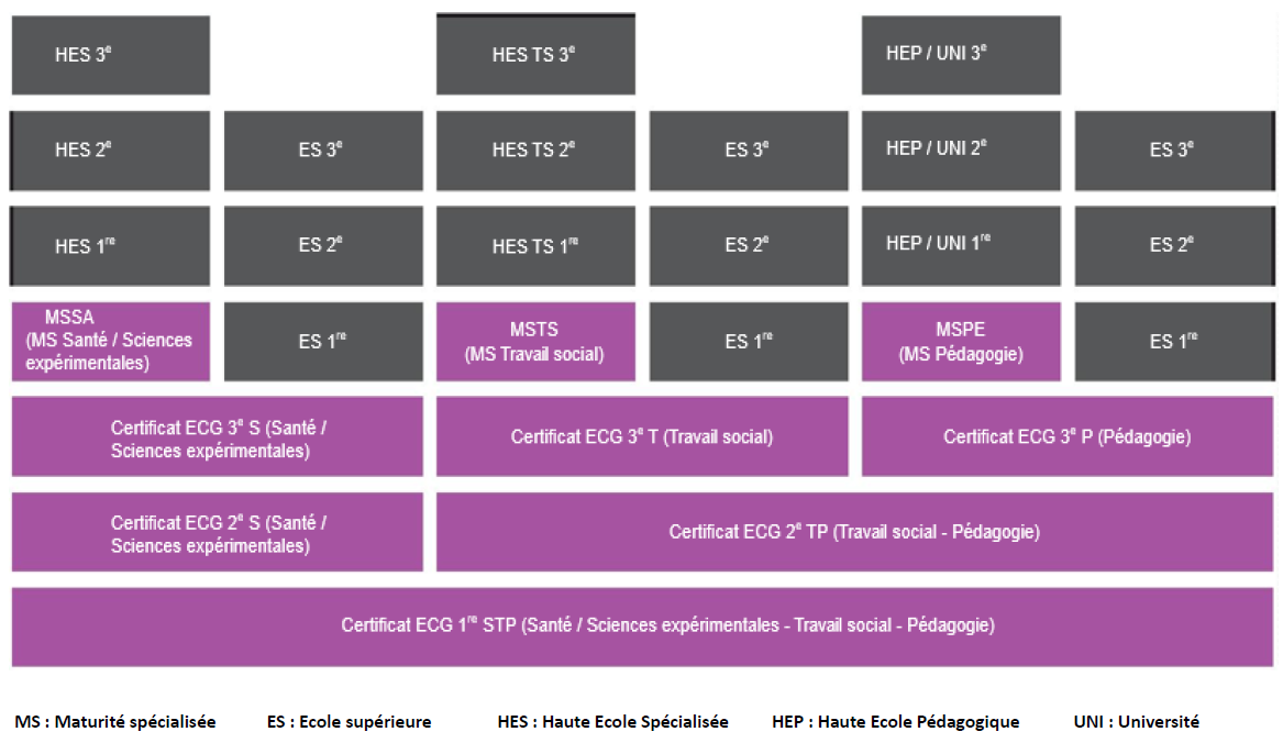 ECG - domaines de formation