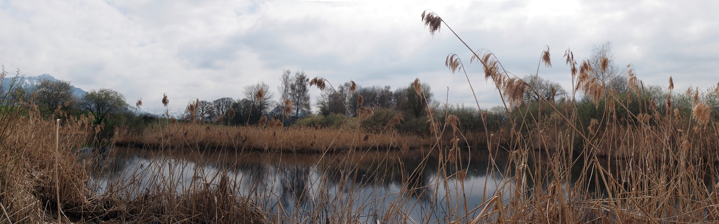 Tourbières d'Echarlens