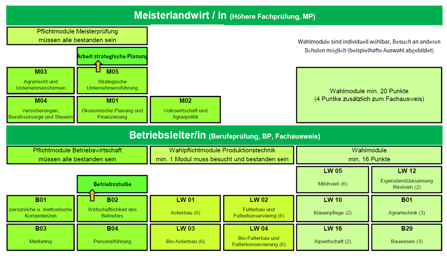 Verlauf einer Ausbildung BLS