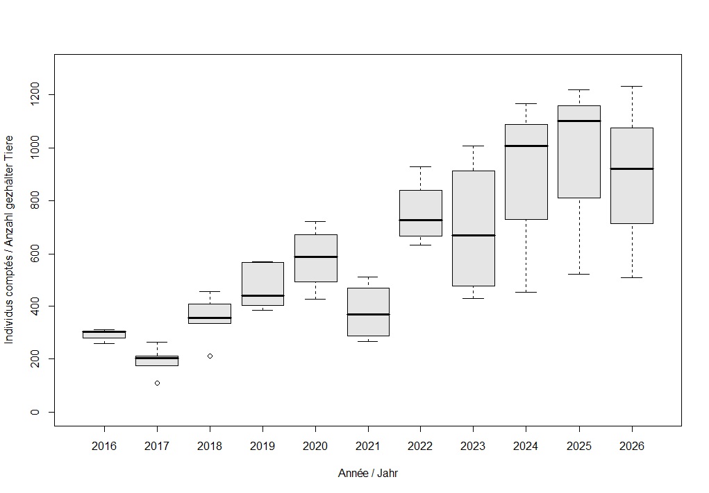 Hirsch Zählung 2016-2026