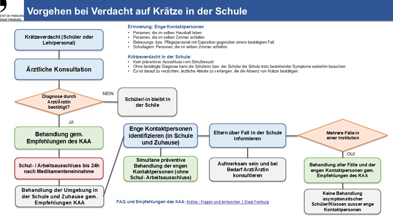 Flowchart  Vorgehen bei Verdacht auf Krätze in Schulen