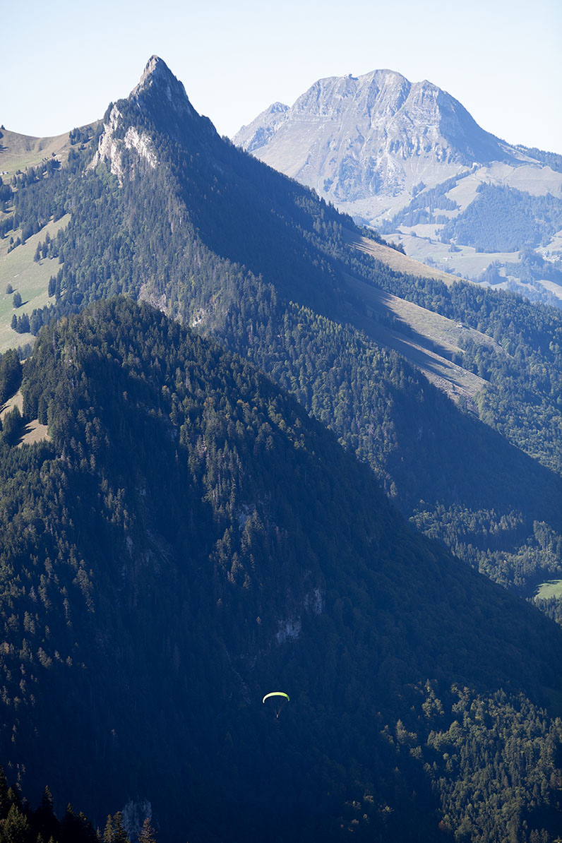 Dent de Broc und Moléson mit ihren Alpweiden