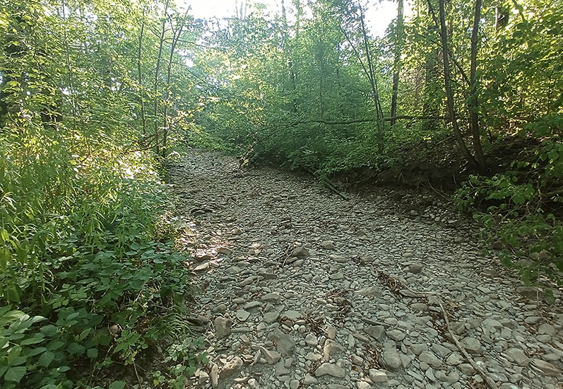 Ausgetrocknete Mortivue in Semsales, 29. Juli 2026