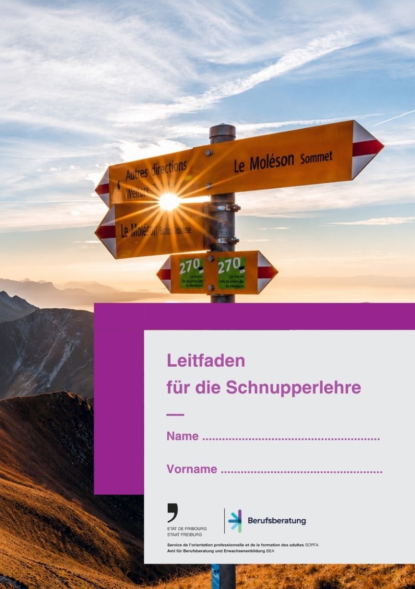 Leitfaden Schnupperlehre