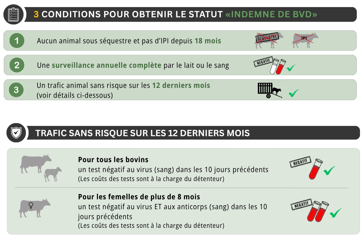 BVD: conditions pour le statut indemne