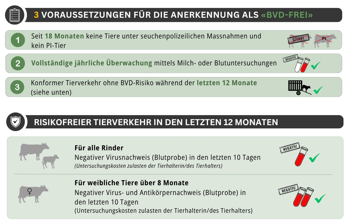 BVD: Voraussetzungen für die Anerkennung als "BVD-Frei"