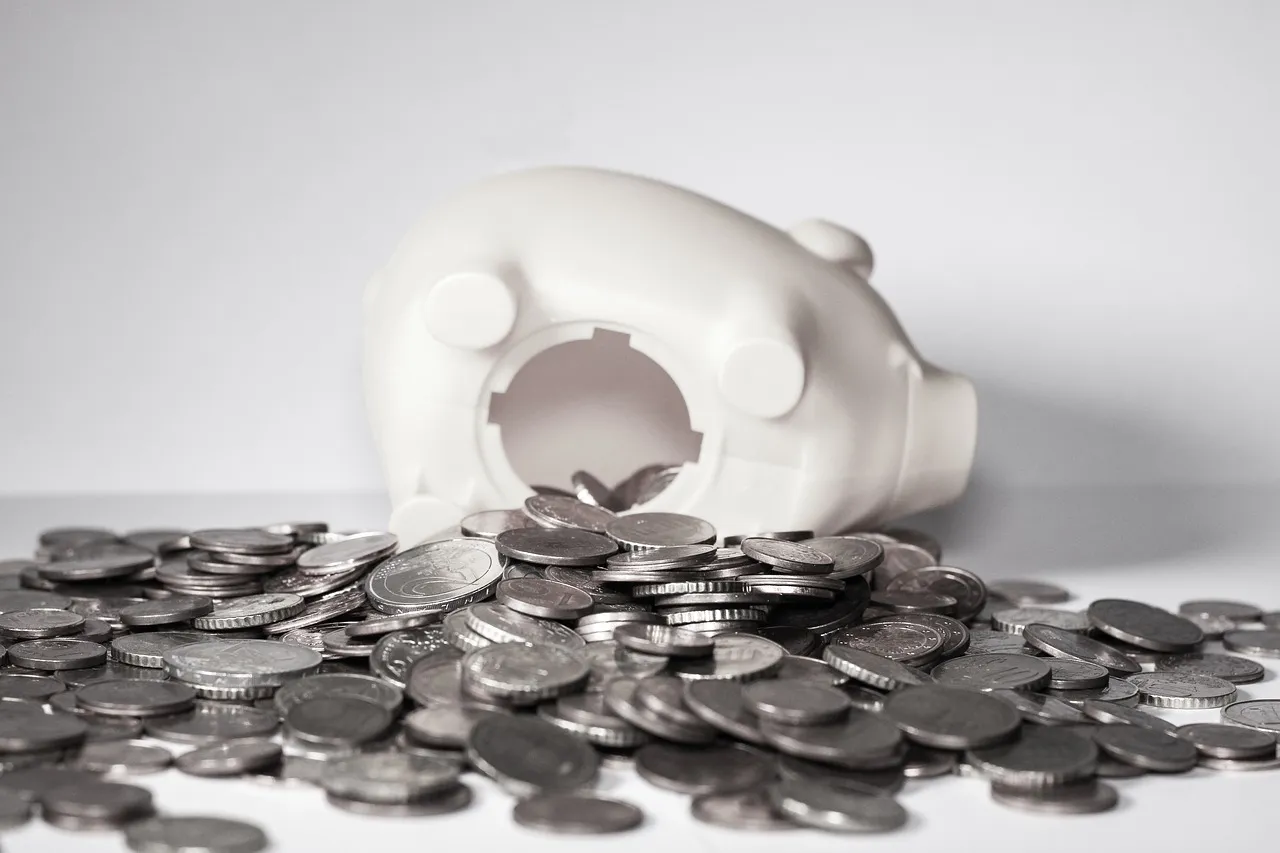 Finanzielle Unterstützung