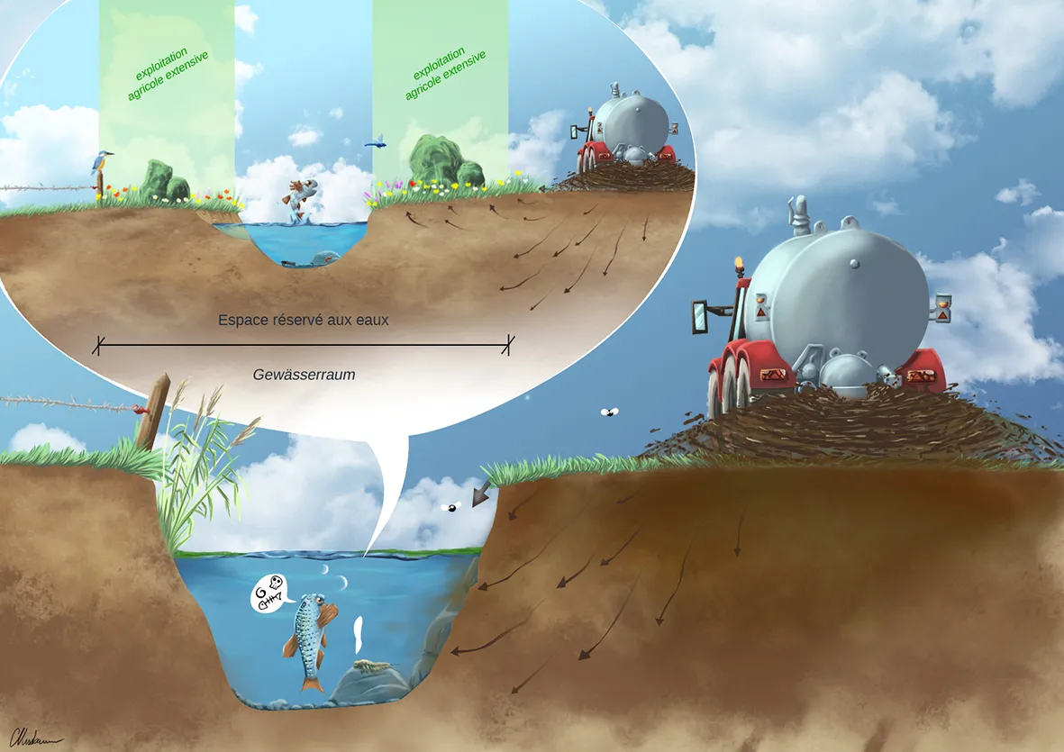 Espace réservé, protection des eaux et biodiversité