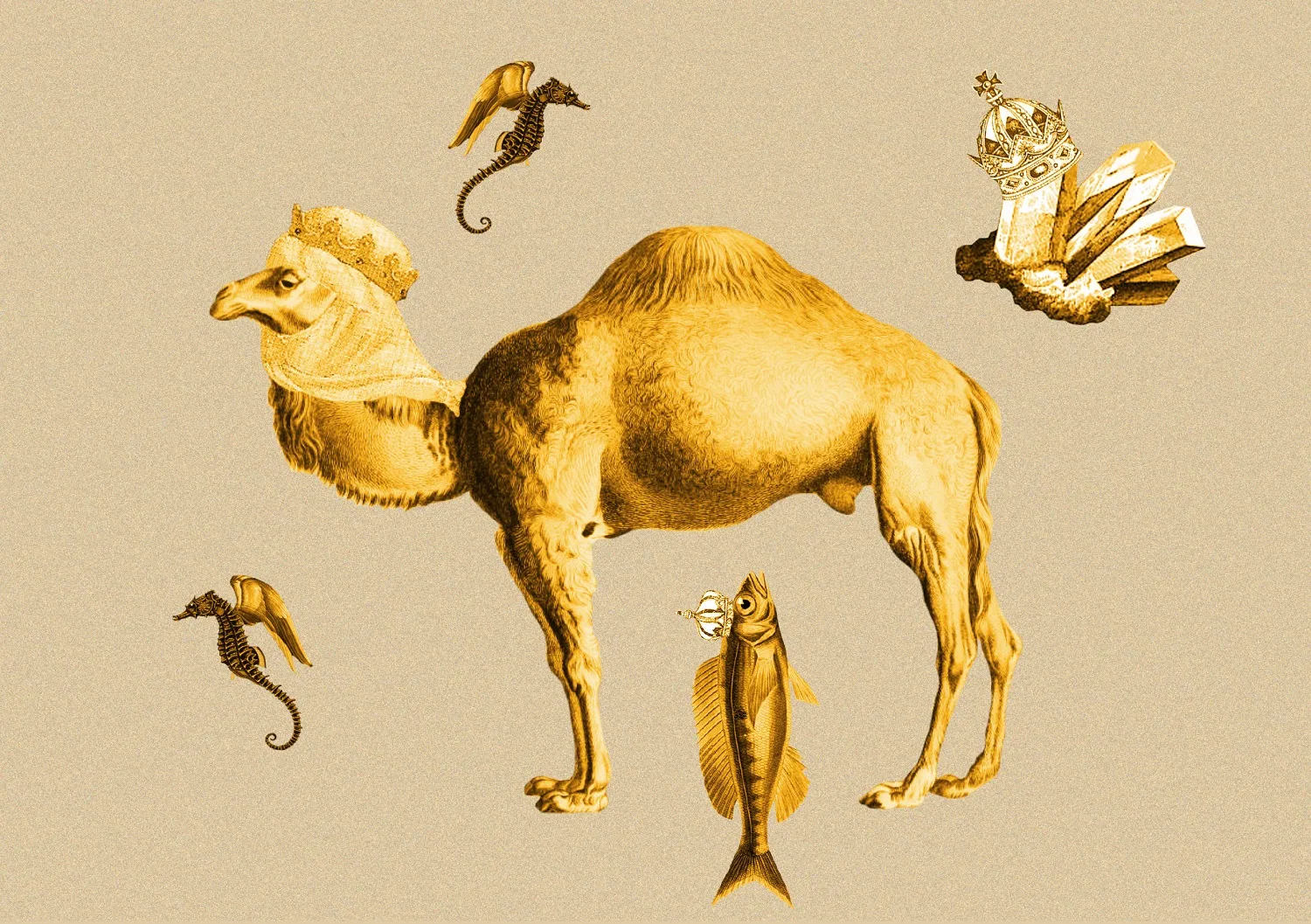 Visites guidées des Rois