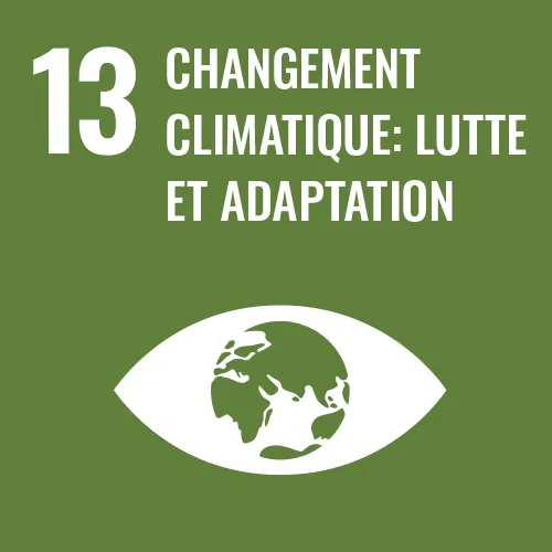 Changement climatique: lutte et adaptation