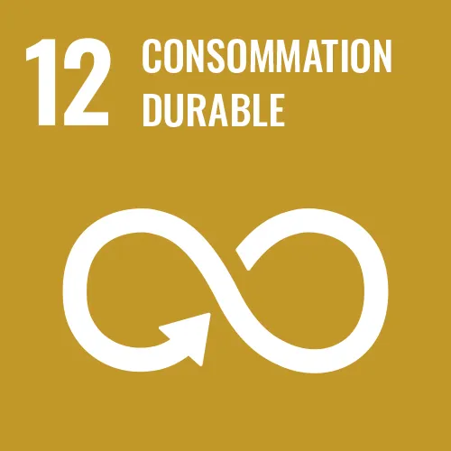 Consommation durable