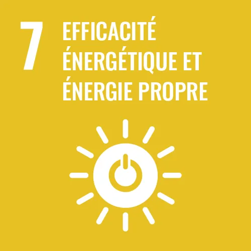Efficacité énergétique et énergie propre