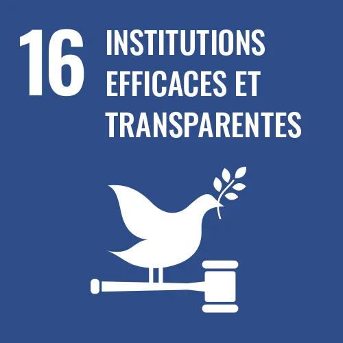Institutions efficaces et transparentes