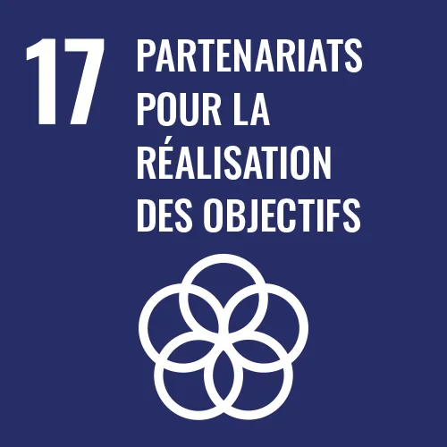 Partenariats pour la réalisation des objectifs