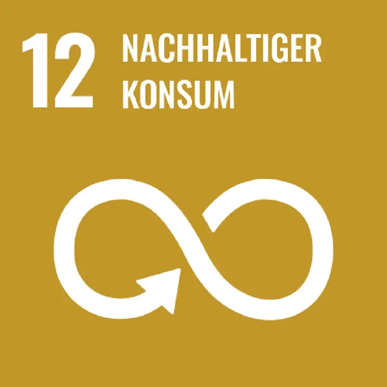 12 Konsum - Nachhaltige Gemeinden