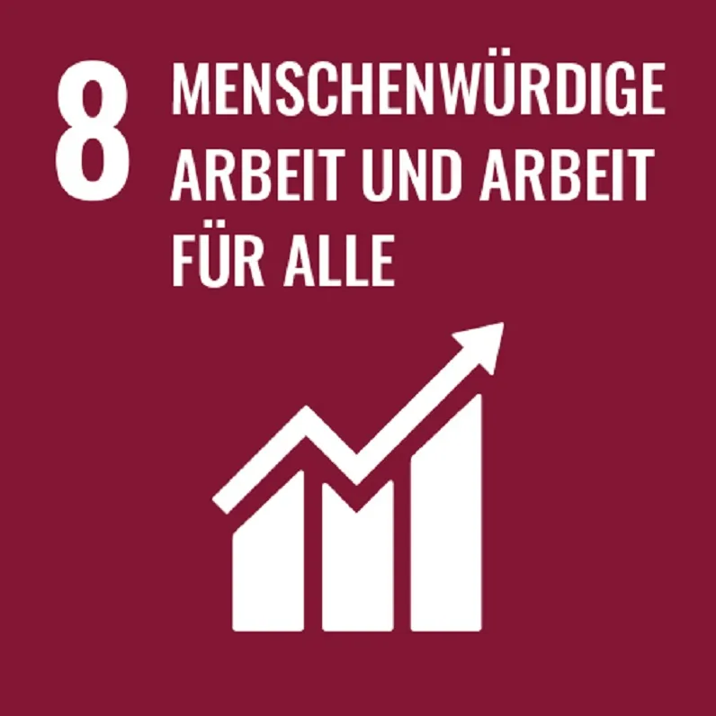 8 Arbeit für alle  - Nachhaltige Gemeinden