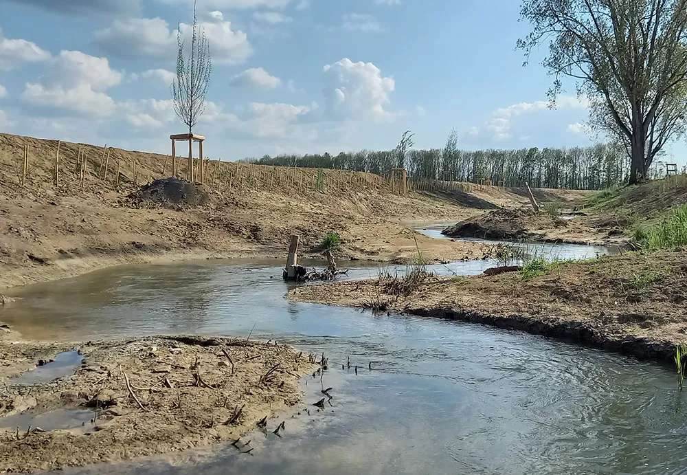 Revitalisierung der Kleinen Glane in St-Aubin