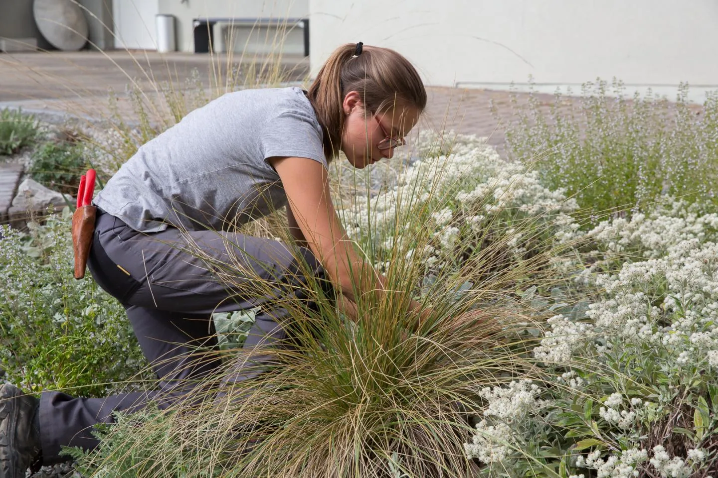 Horticulteur-trice CFC