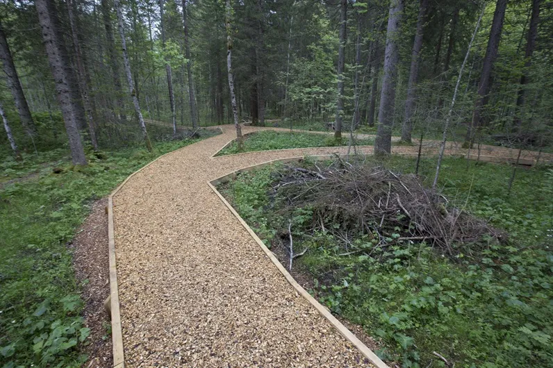 Finnenbahn Campus Schwarzsee