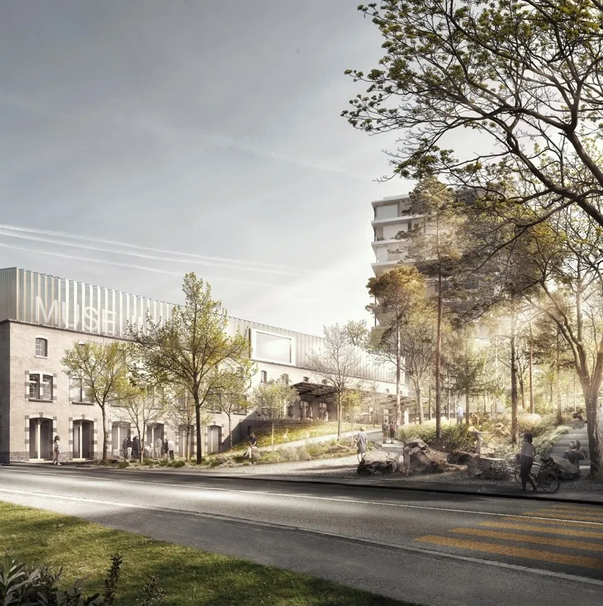 Das künftige Naturhistorische Museum an der Zeughausstrasse