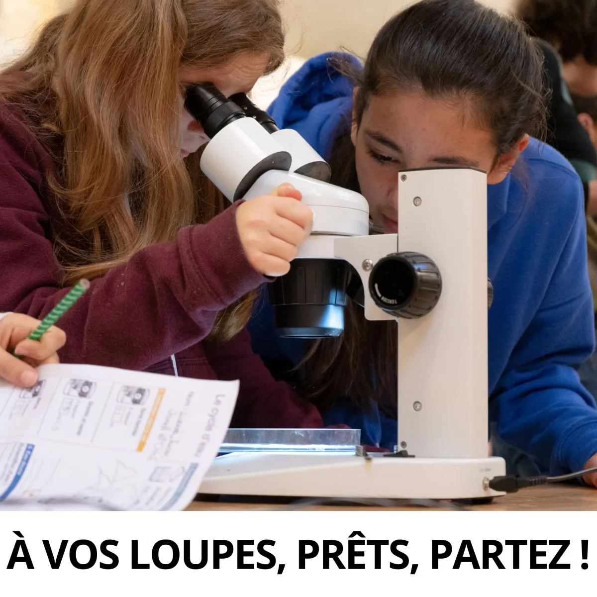 Carré À vos loupes