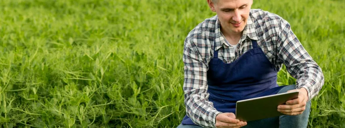 Brevet agricole champs