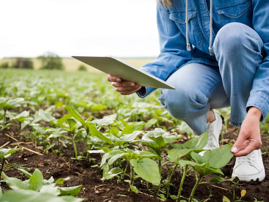 Brevet agricole