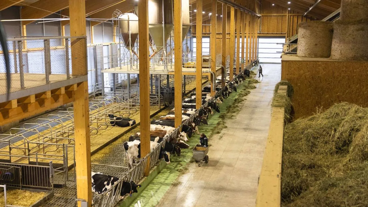 Ferme Grangeneuve